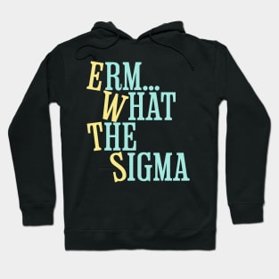 Erm What The Sigma Hoodie